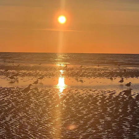 Sur La Plage-beachside Retreat Lejlighed Cabourg